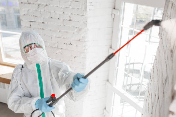 Best Asbestos and Lead Testing During Mold Inspection  in Malibu, CA