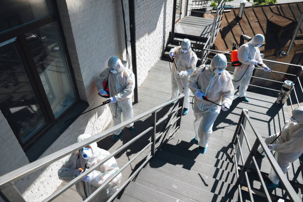 Forensic Mold Investigation in Malibu, CA