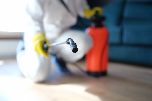 Best Mold Odor Removal Services  in Malibu, CA